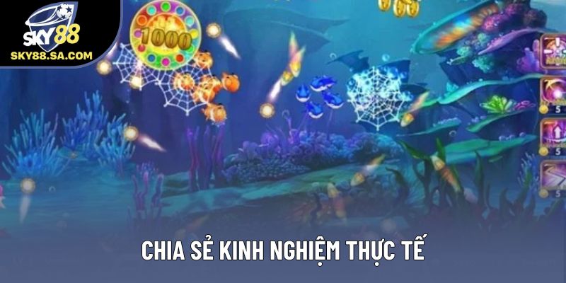 Chia sẻ kinh nghiệm thực tế Chia sẻ kinh nghiệm thực tế