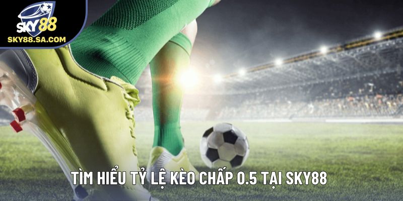 Tìm hiểu tỷ lệ kèo chấp 0.5 tại Sky88 Tìm hiểu tỷ lệ kèo chấp 0.5 tại Sky88