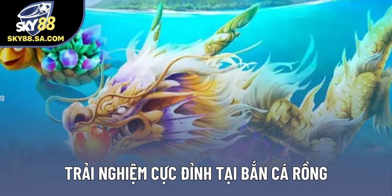 Trải nghiệm cực đỉnh tại Bắn cá rồng Trải nghiệm cực đỉnh tại Bắn cá rồng